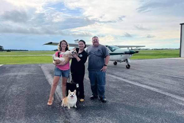Flight nanny team with plane and dogs